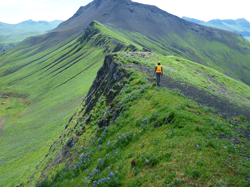 Michelle Coombs of the U.S. Geological Survey walks along a ridge just south of Akutan volcano in Alaska.