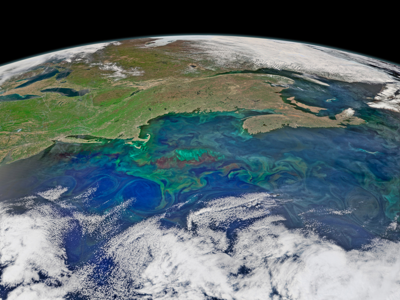 Researchers tie dissolved organic carbon in the Gulf of Maine to changes in precipitation and runoff in New England.