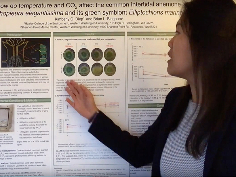 Virtual Poster Showcase awardee Kimberly Diep presents her research.