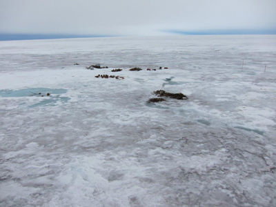 This image shows Sagar Camp, the very summit of the Barnes Ice Cap, and the remains of a glaciological camp occupied in 1963 that was hurriedly abandoned.