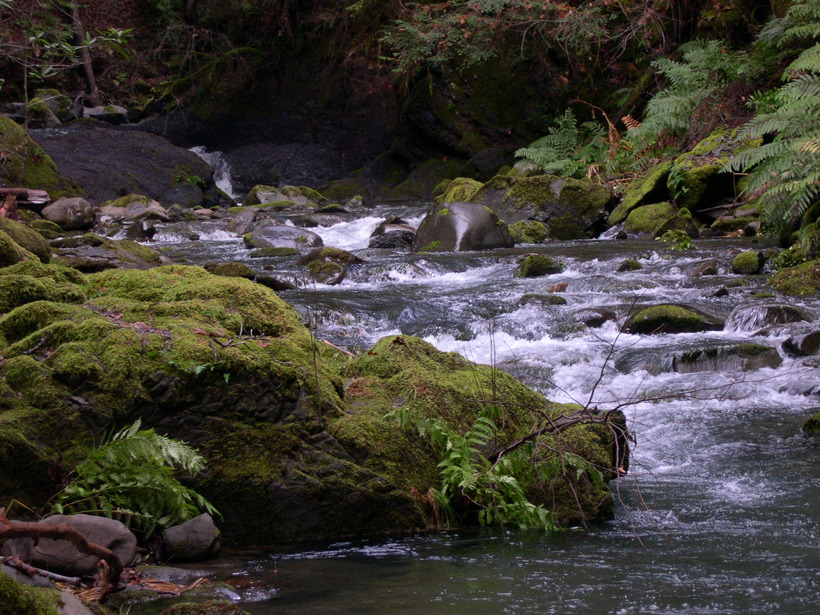 Elder Creek in the Eel River watershed of northern California.