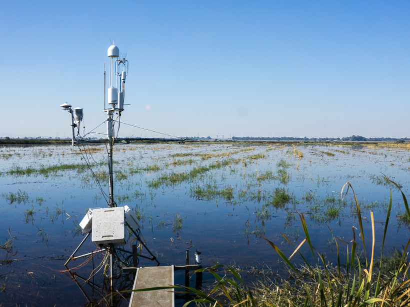 Twitchell Island, in Sacramento County, Calif., is a wetland flux site in the FLUXNET network.