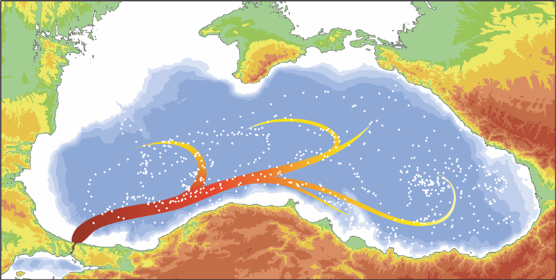 Рисунок течений. Морские течения черного моря моря. Карта течений черного моря. Циркуляция воды в черном море. Течение Черноморского побережья.