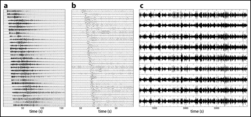 Seismic signals recorded by the KISS temporary stations.