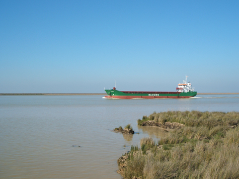 Researchers analyze the water dynamics in the Guadalquivir River Estuary.