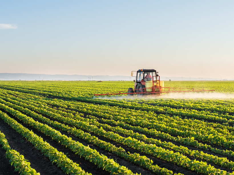 A tractor sprays a soybean field.