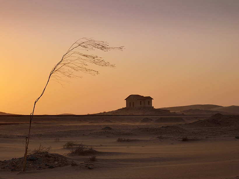As the wind blows across the drylands of Namibia, sand clusters around isolated plants.