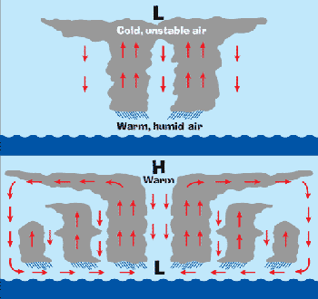 Hurricane formation