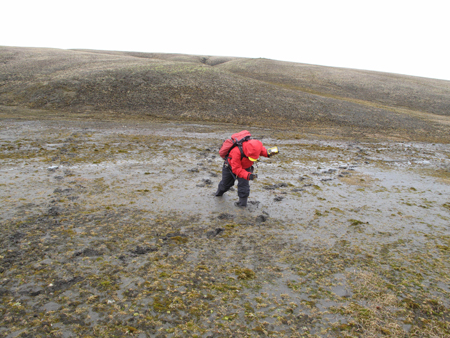 A scientist attempts to pull herself from knee-high mud.