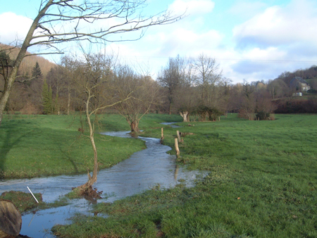 Headwater streams like this one in Brittany, France, are important habitats across the globe.