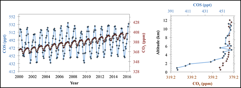 Concentrations of tropospheric carbonyl sulfide and carbon dioxide show a similar pattern of seasonal variations