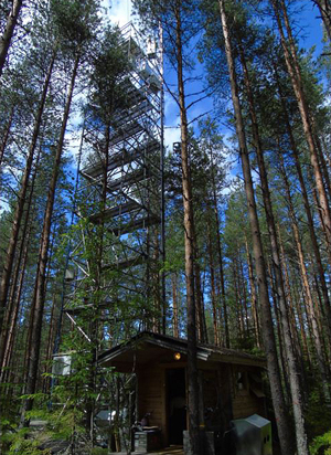 Monitoring site at the Hyytiälä Forestry Field Station in Finland measures the flow of COS between land and atmosphere.