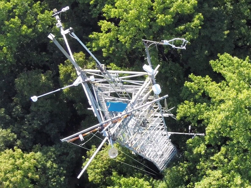 New research reveals how timing may determine the impacts of deforestation
