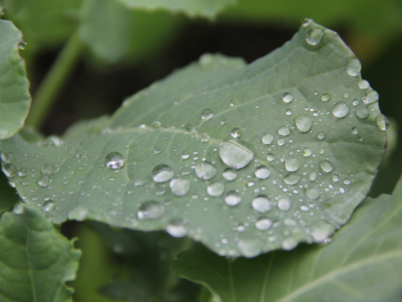 Researchers try a new method to improve precipitation models