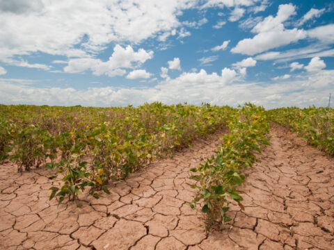 Soil moisture projections hold clues to how climate change may drive drought