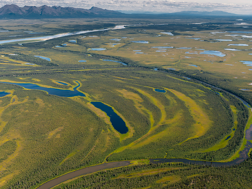 Wetlands of the Kobuk River Valley in Alaska.