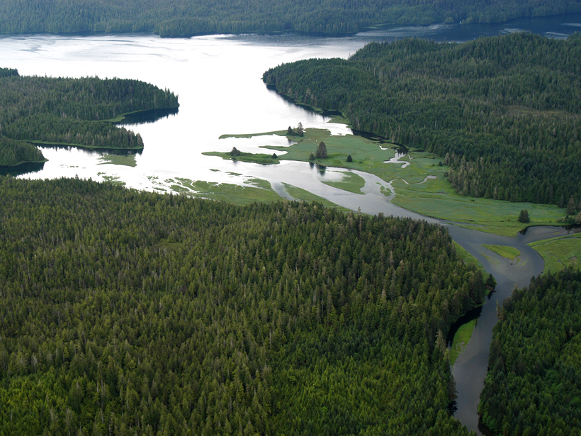 The Harris River, on Prince of Wales Island in Alaska’s panhandle, winds through temperate rain forest to the sea.