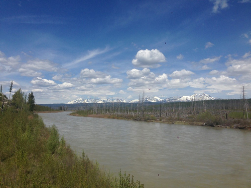 The North Fork Flathead River drains meltwater from mountains in northern Montana and southern Alberta, Canada.