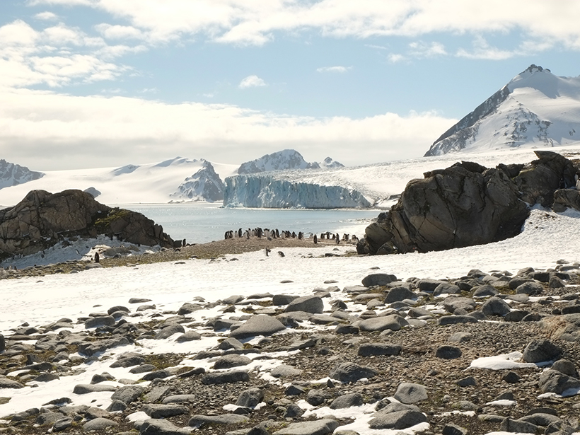 Microbes in snow could contribute to faster melting and impact downstream ecosystems