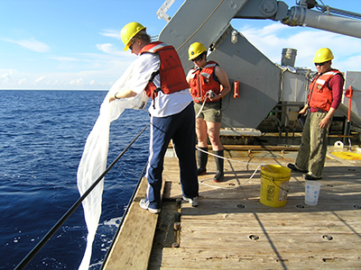Researchers aboard the R/V Atlantic Explorer deploy a plankton net to sample the phytoplankton community.