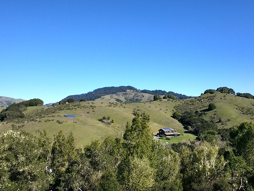 Marin Carbon Project rangeland