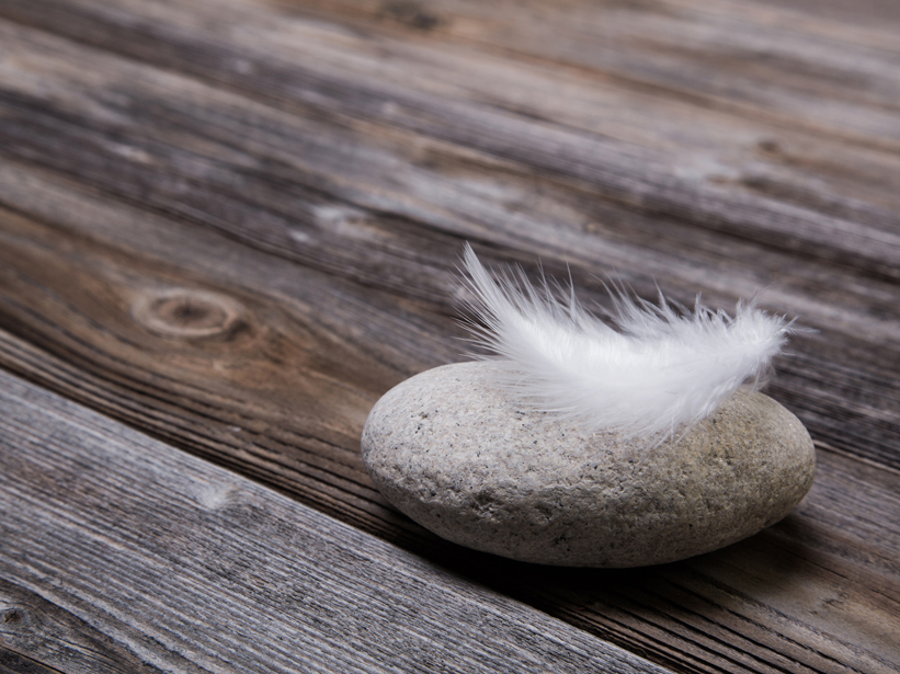 Feather on stone