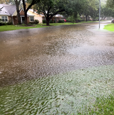 Floodwaters begin to recede in front of my house on in the morning of 28 August. Just a few hours earlier, Harvey dumped 2 feet of rain.