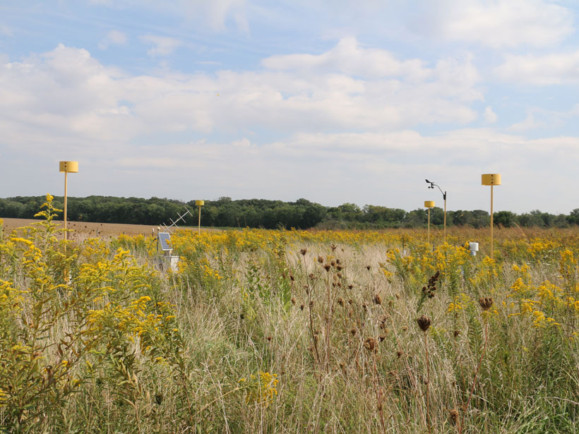 Researchers develop a new framework to assess the mechanisms behind short-term ecological shifts