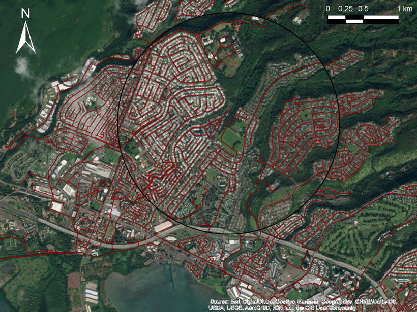 Urban sewer networks grow outward in a manner similar to natural river networks.