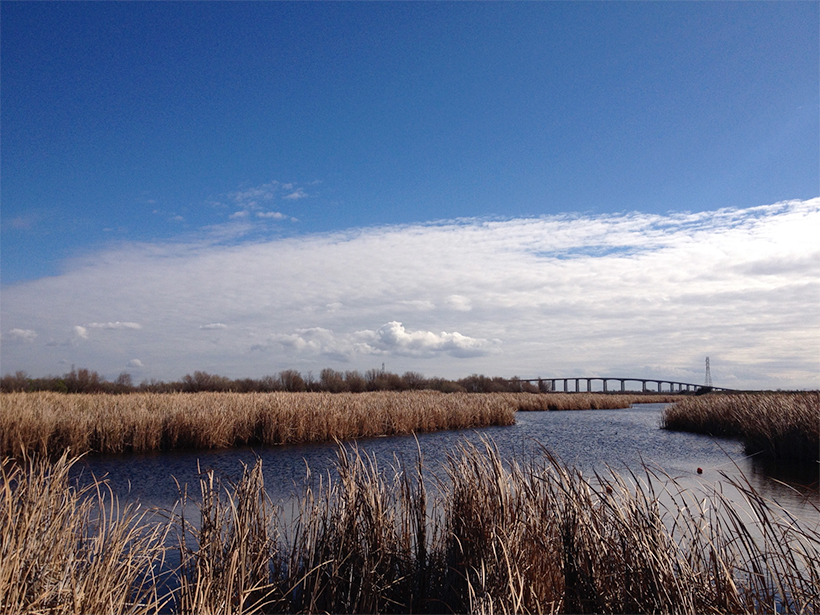 Researchers put an old model to the test with new data to examine methane dynamics in wetland