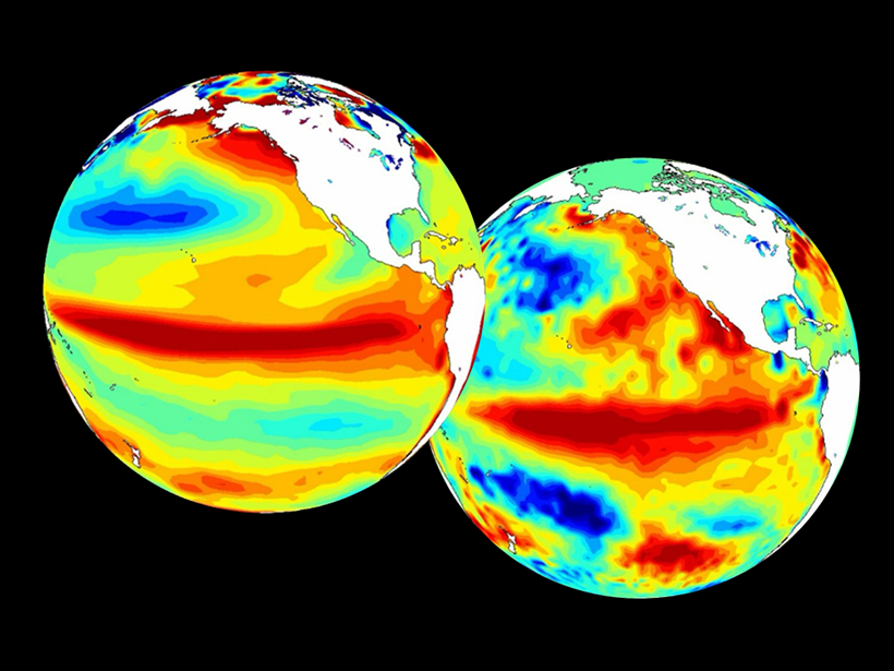 Sea surface temperature departure from average, observed vs. forecast