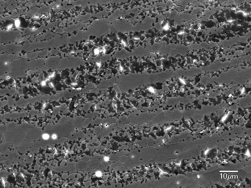 Secondary electron microscope images showing microstructures of stressed grains.