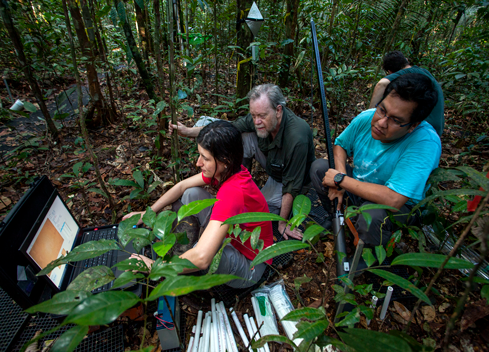 Amazon-rain-forest-researchers