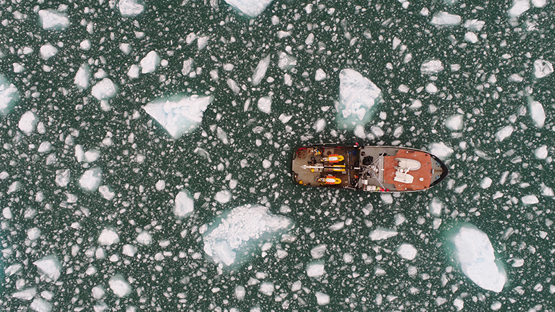 Drone image of the M/V Steller, surrounded by ice. Sometimes, if there was too much ice in the sea around the boat, the researchers had to pause their daily activities or risk damage to their expensive equipment. Credit: David Sutherland