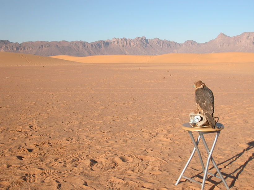 Researchers trace medieval temperature trends across Africa and Arabia
