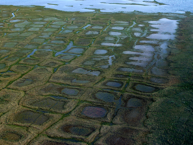 A grid-like pattern in the permafrost in the National Petroleum Reserve–Alaska.