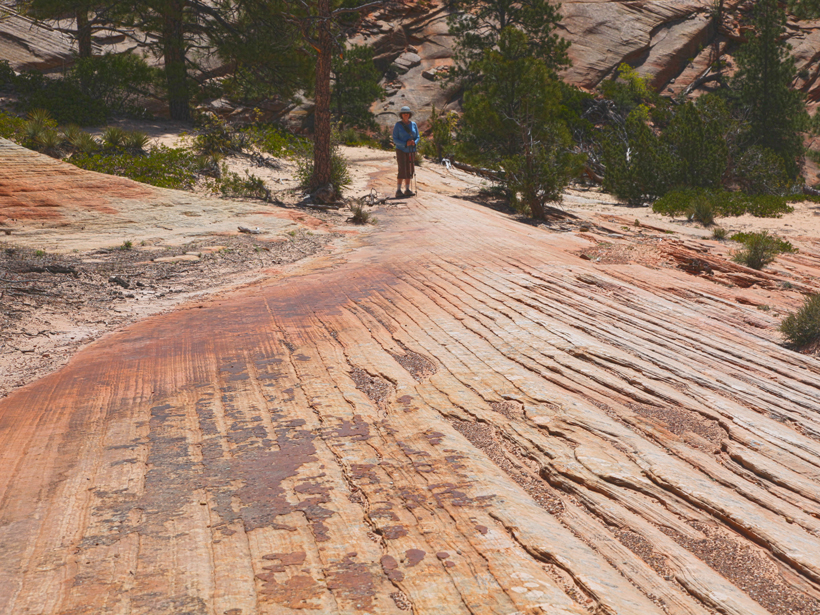 Horizontal exposure of cyclic cross strata in the Navajo Sandstone