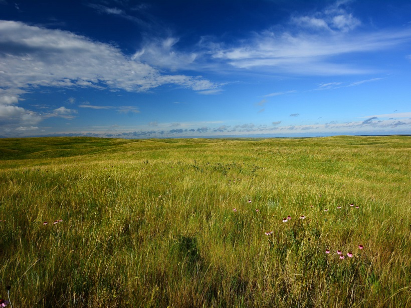 Native Prairie in East Central North Dakota