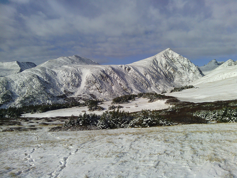 Niwot Ridge Long Term Ecological Research site, Boulder, Colorado