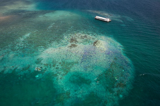 The committee is looking into potential ecological, genetic, and engineering interventions to help coral reefs. This aerial photo shows coral bleaching in March 2016 in New Caledonia, a French territory in the South Pacific