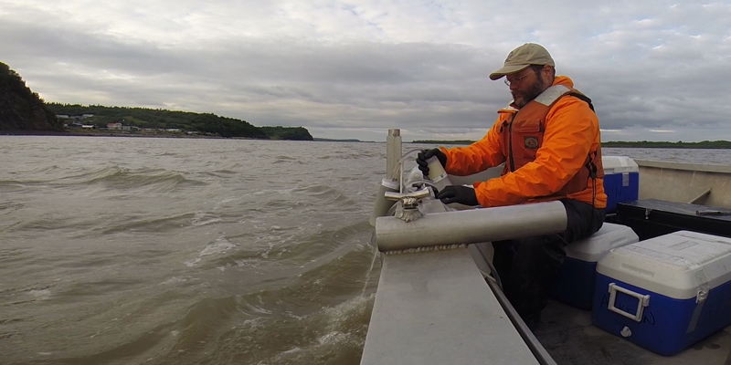 A new study uses microbes to estimate Arctic river discharge
