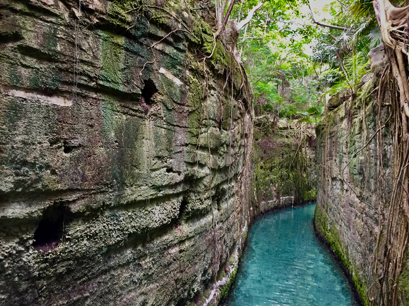Coral reef and subtidal sands are exposed in the walls of the Underground Rivers at Xcaret, Mexico.