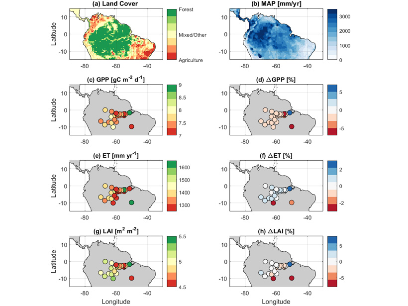 Vegetation dynamics in Amazonia