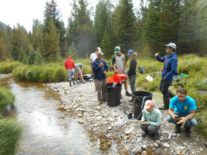 Student volunteers from Colorado State University at a local research hub in Rocky Mountain National Park.