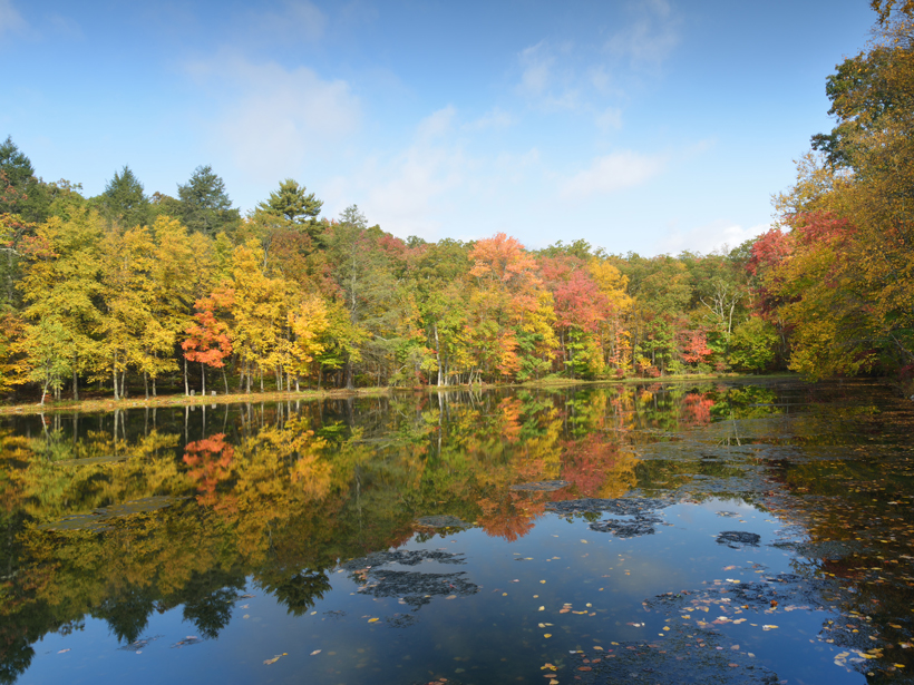 Researchers examine the impact of increased precipitation on lake water clarity.