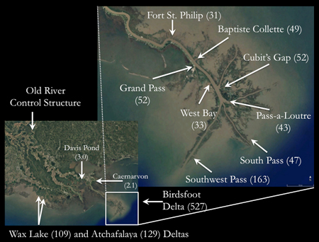 Map of the lower Mississippi River and its delta, showing major distributaries and their annual discharge volume.