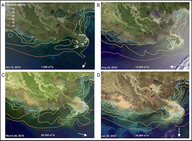 MODIS images showing the Mississippi River plume and Louisiana’s shelf during periods of low, medium, and high discharge.