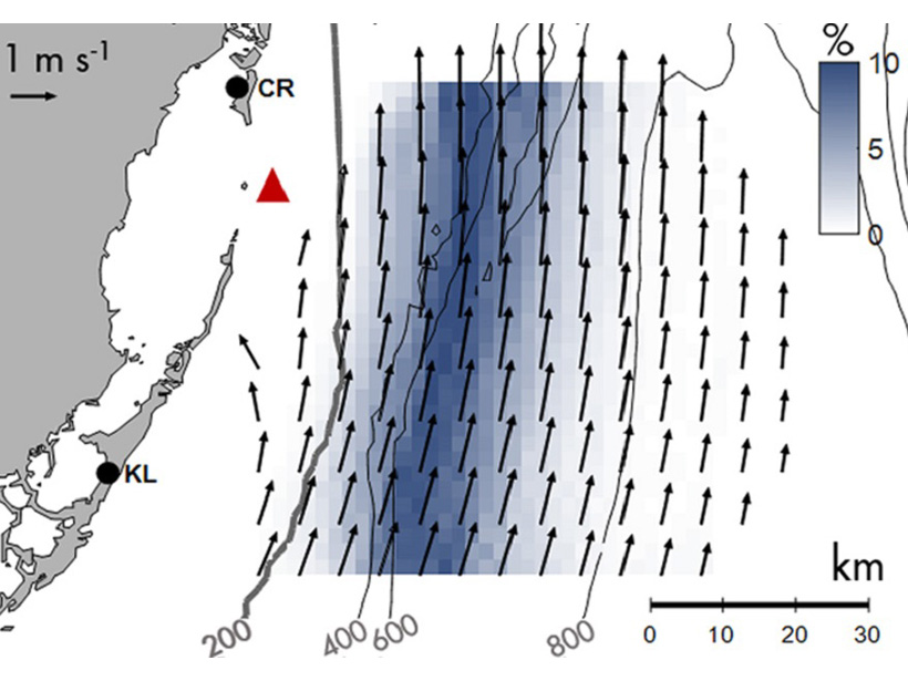 Western boundary current off Florida