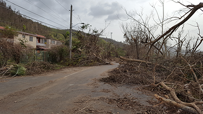 A view of the destruction to the road just outside of SJG observatory in Cayey, taken 27 September 2017.
