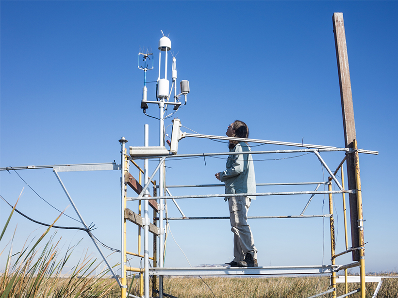 Lab technician inspecting micrometeorological tower that measures greenhouse gas, energy, and water fluxes